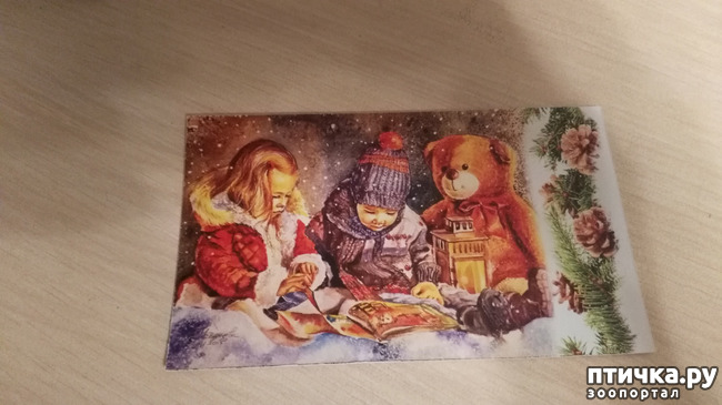 ���� 1: ���� ��� ������