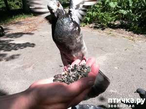 фотография: Не ждали? А не надо семячки хомячить на улице! фото: Не ждали? А не надо семячки хомячить на улице!