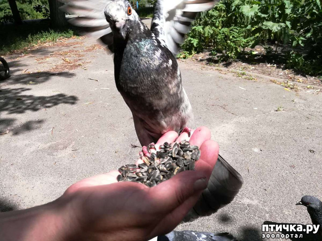 ���� 1: �� �����? � �� ���� ������� �������� �� �����!