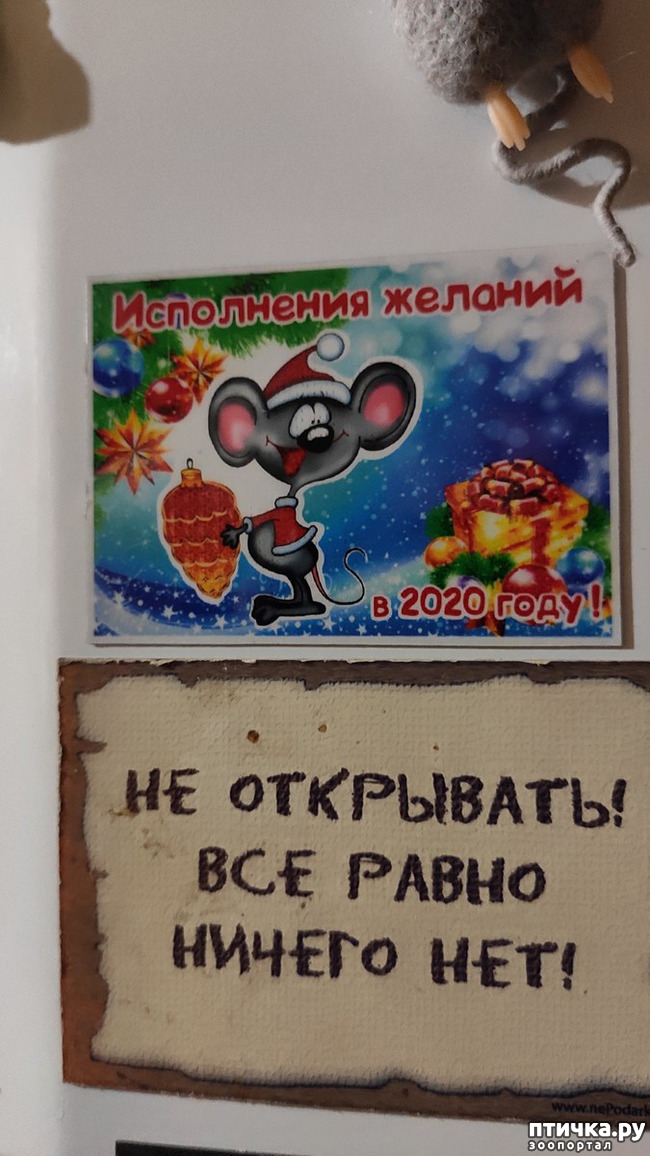 ���� 2: ��� �������