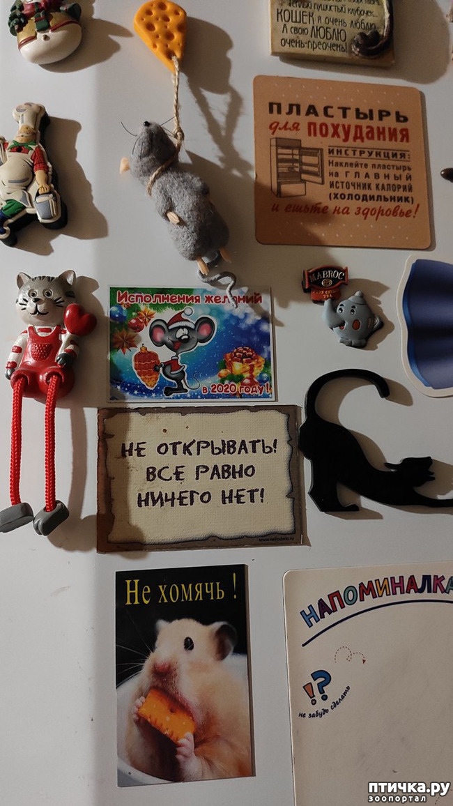 ���� 3: ��� �������