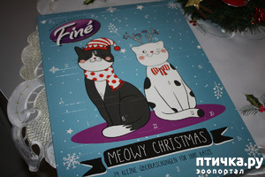 фотография: Рождественский адвент календарь для животных фото: Рождественский адвент календарь для животных