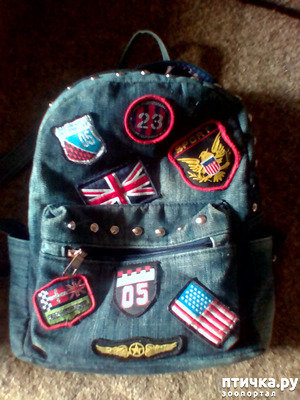 фотография: Прогулки и первая одёжка) фото: Прогулки и первая одёжка)