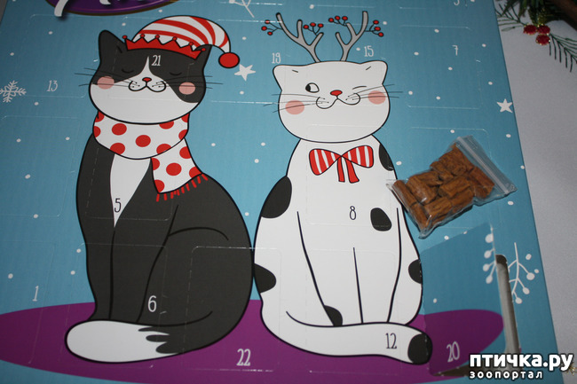 ���� 3: �������������� ������ ��������� ��� ��������