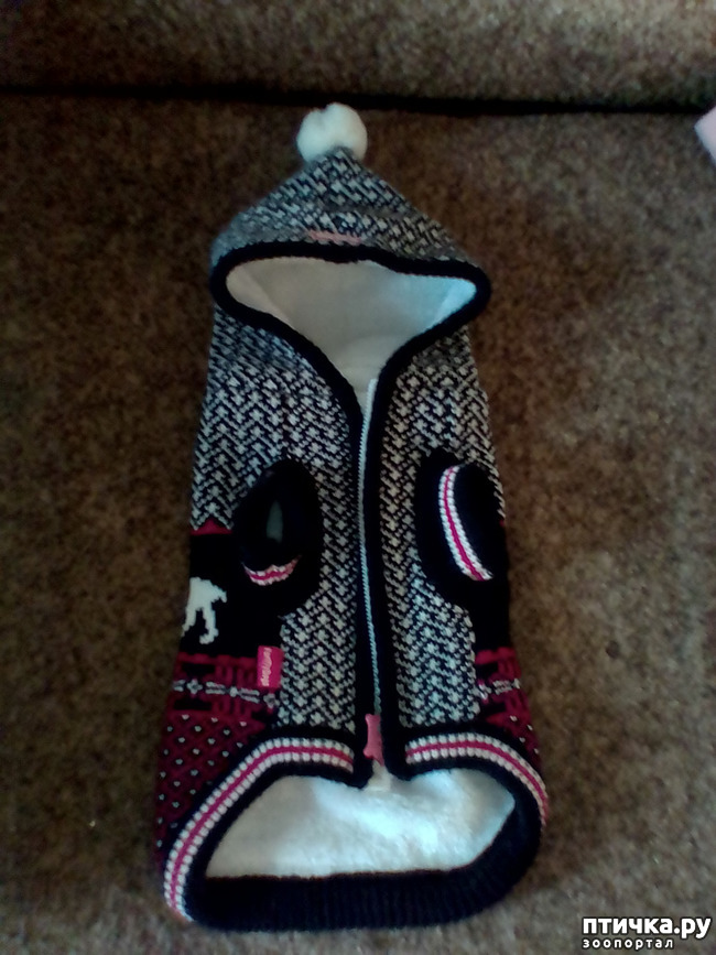 ���� 2: �������� � ������ �����)