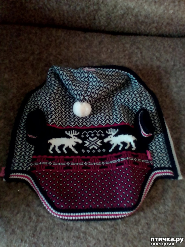 ���� 3: �������� � ������ �����)