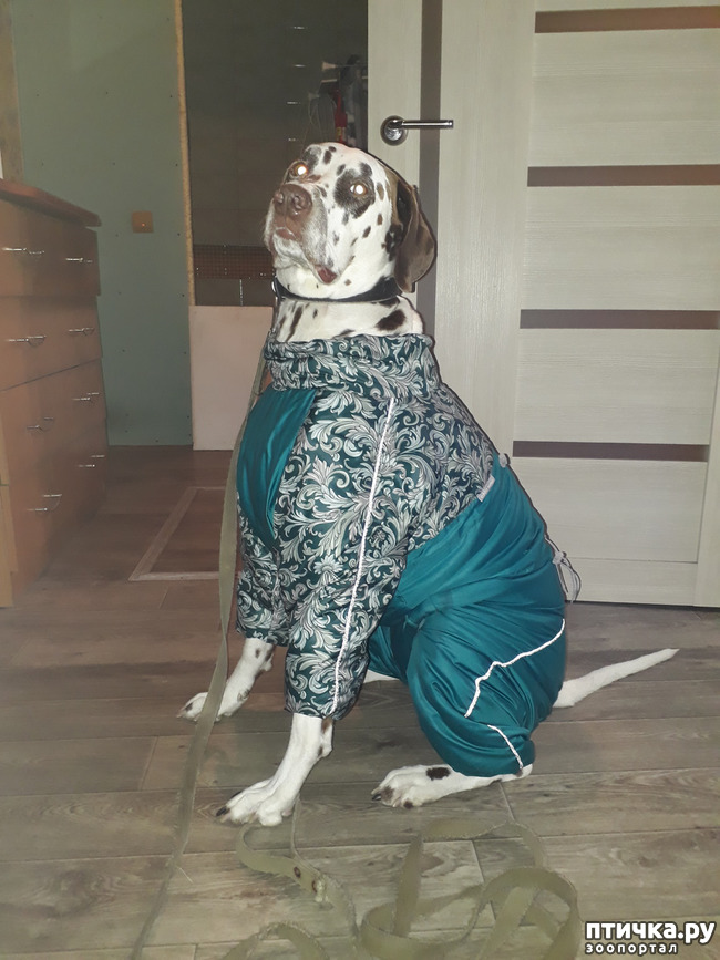 ���� 1: ��� ����������... ������ ������