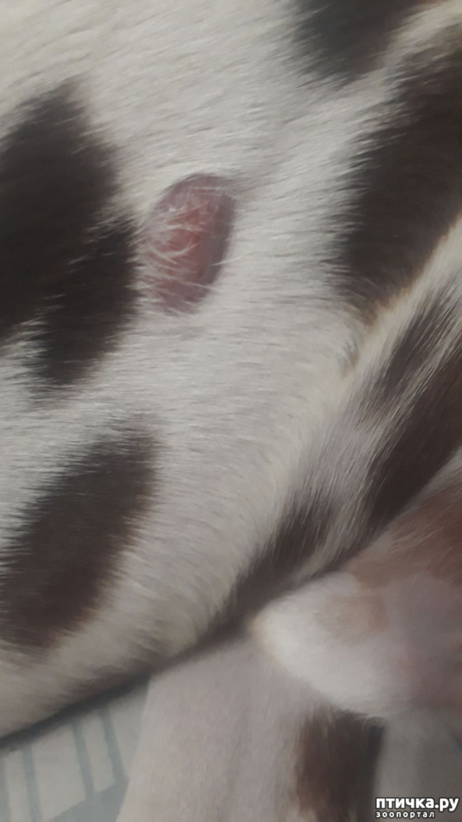 ���� 2: ��� ����������... ������ ������