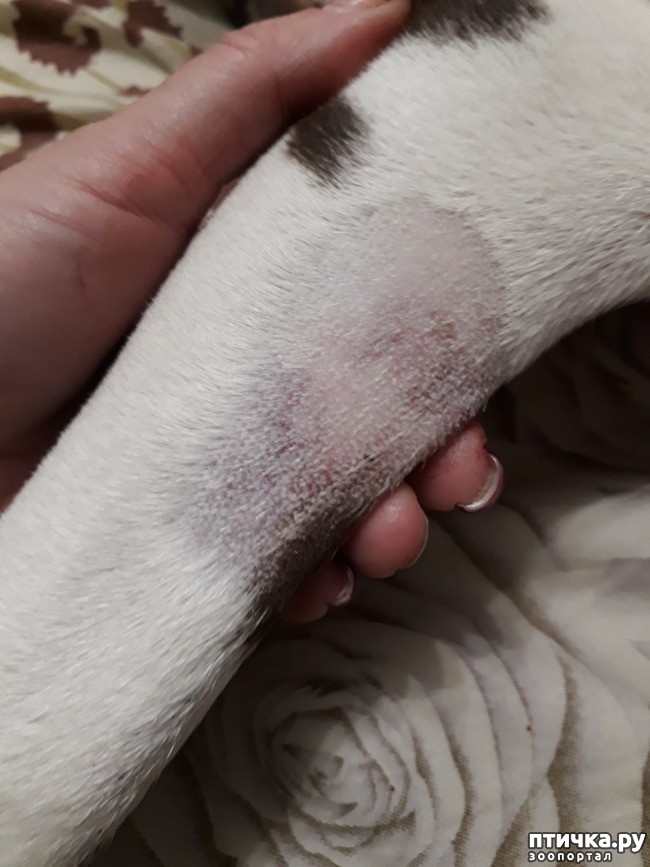 ���� 4: ��� ����������... ������ ������