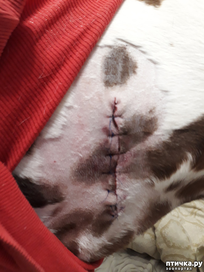 ���� 3: ��� ����������... ������ ������