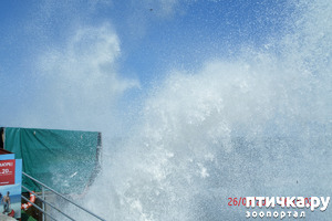 фотография: Прогулка фото: Прогулка