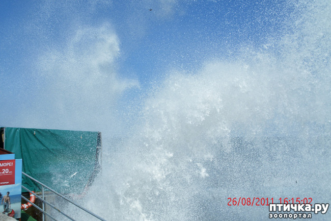 ���� 1: ��������