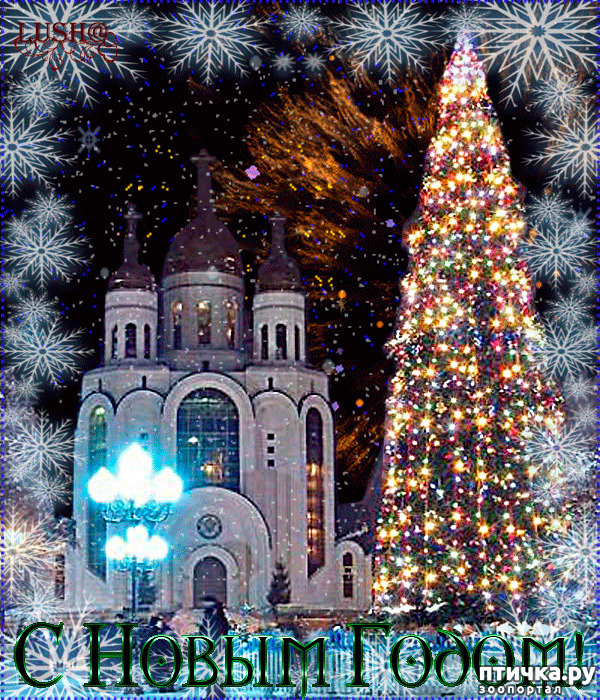 ���� 1: � �����������, ������� � ��������!