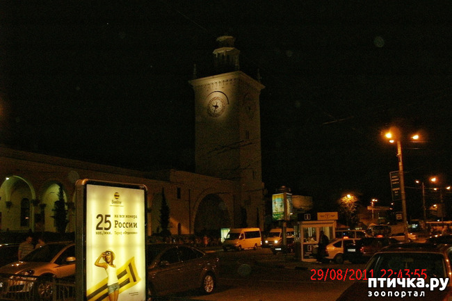 ���� 2: ��������