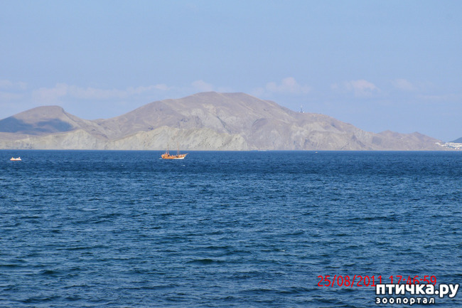 ���� 3: ��������