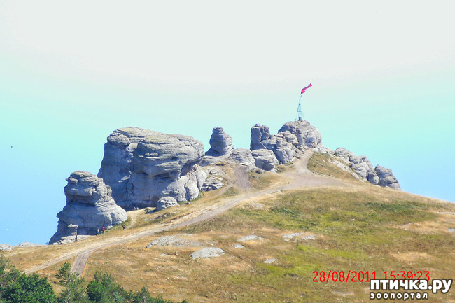 ���� 6: ��������