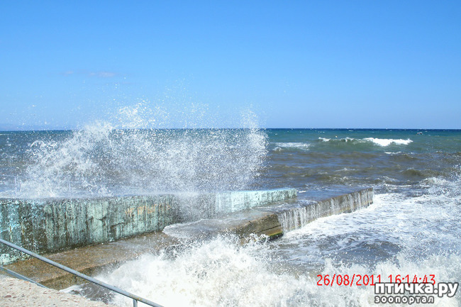 ���� 4: ��������