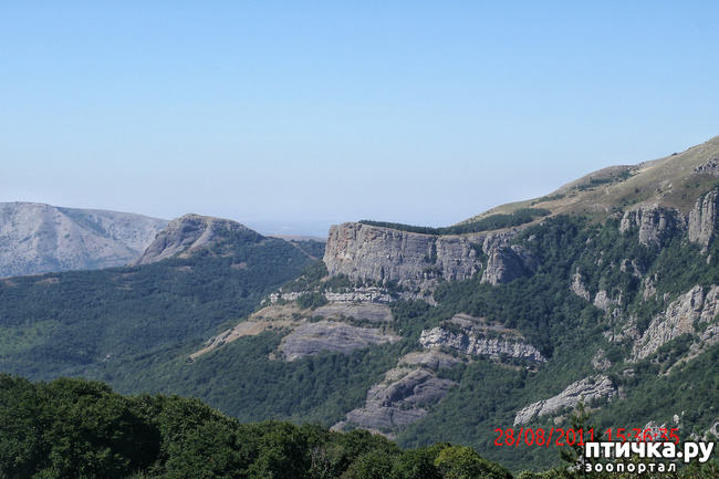 ���� 5: ��������