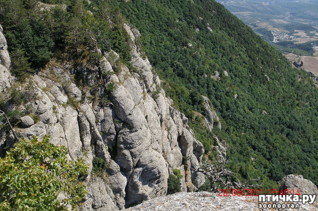 ���� 7: ��������