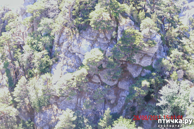 ���� 8: ��������