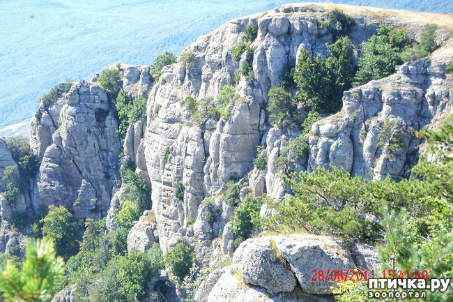 ���� 9: ��������