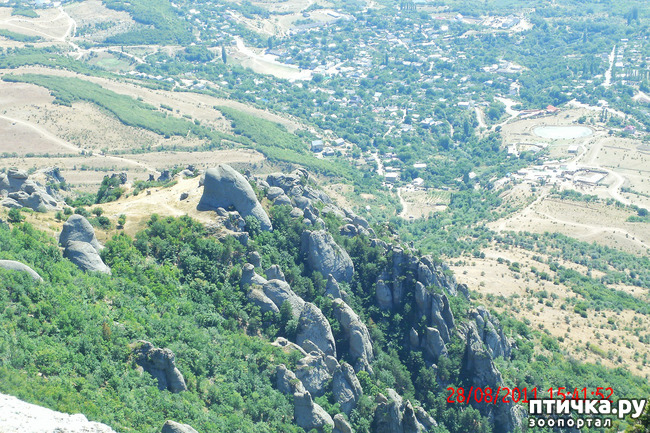 ���� 10: ��������