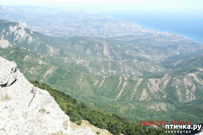 ���� 12: ��������