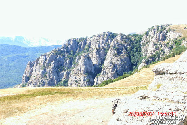 ���� 13: ��������