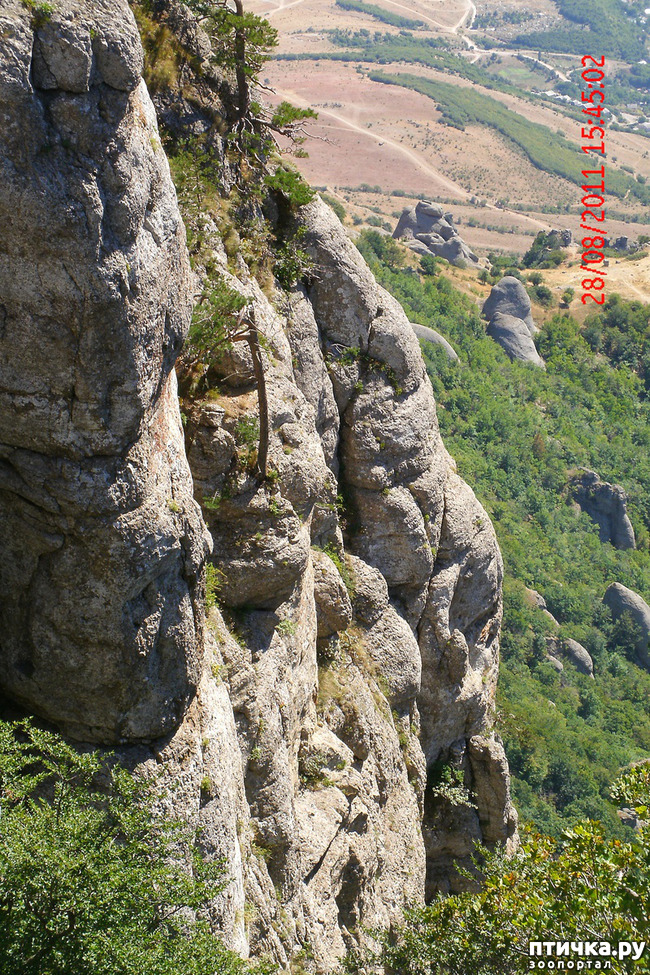 ���� 11: ��������