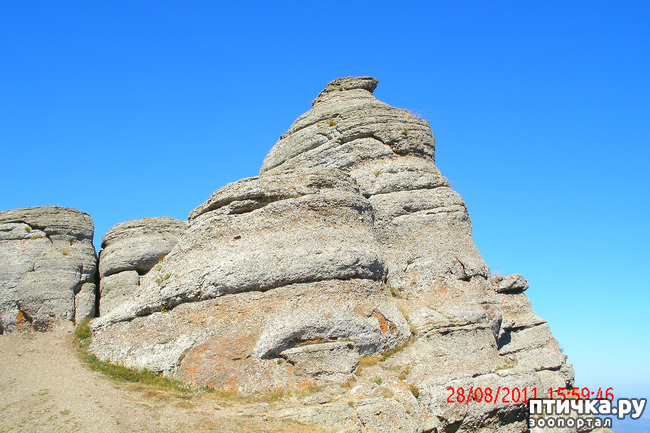 ���� 14: ��������