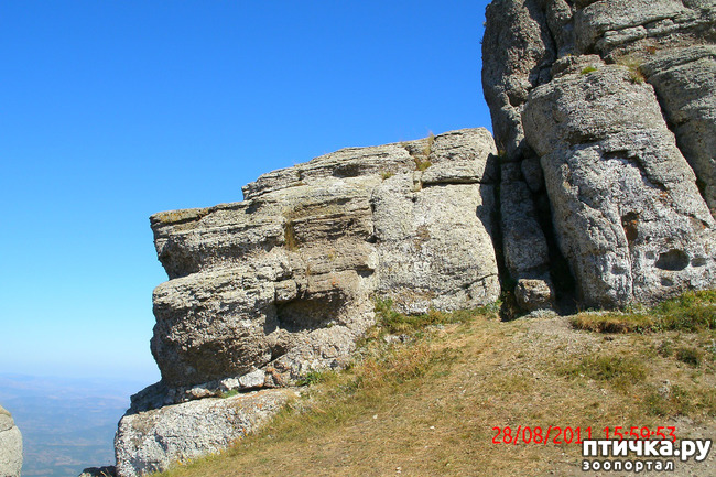 ���� 15: ��������