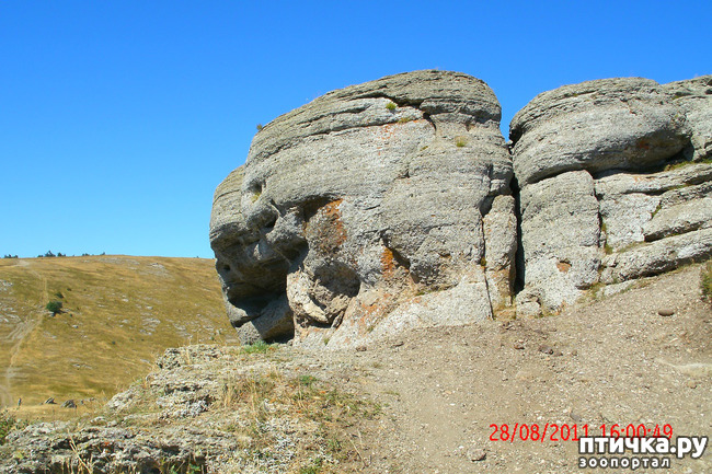 ���� 16: ��������