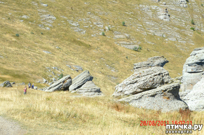 ���� 18: ��������