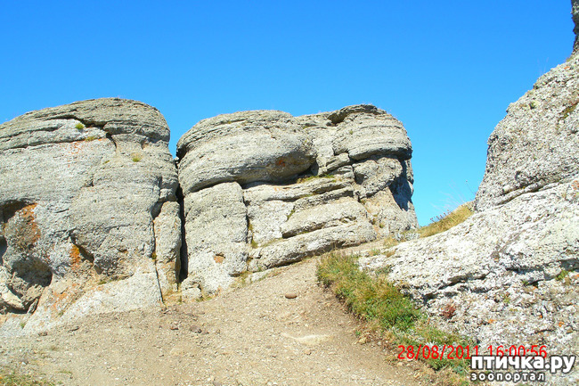 ���� 17: ��������