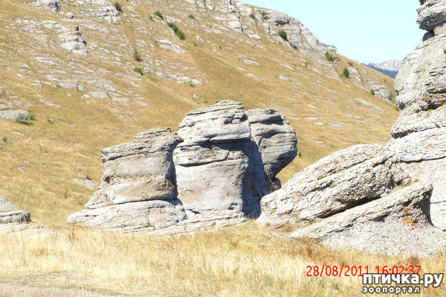 ���� 19: ��������