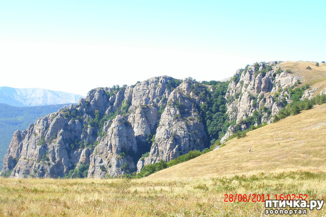 ���� 20: ��������