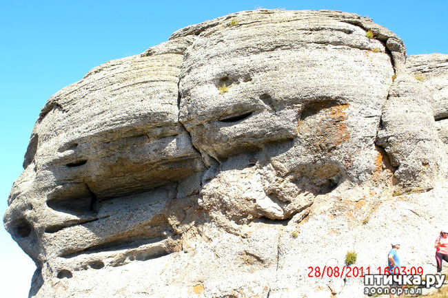 ���� 21: ��������