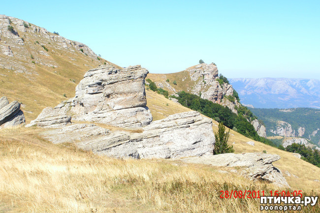 ���� 22: ��������