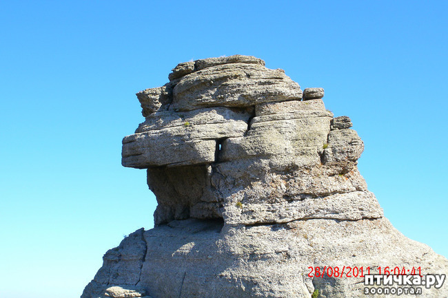 ���� 23: ��������