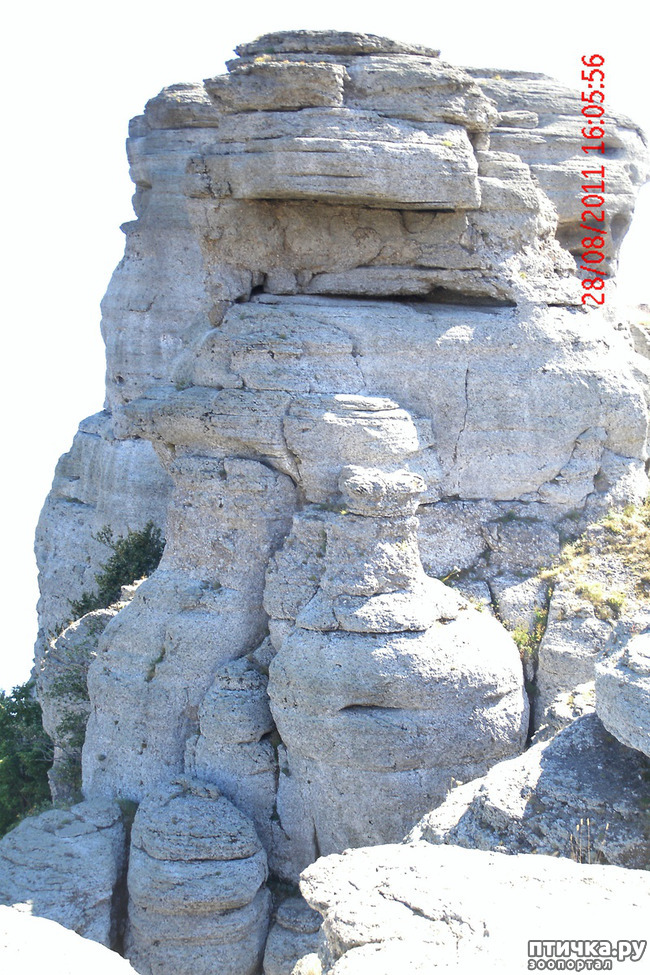 ���� 24: ��������