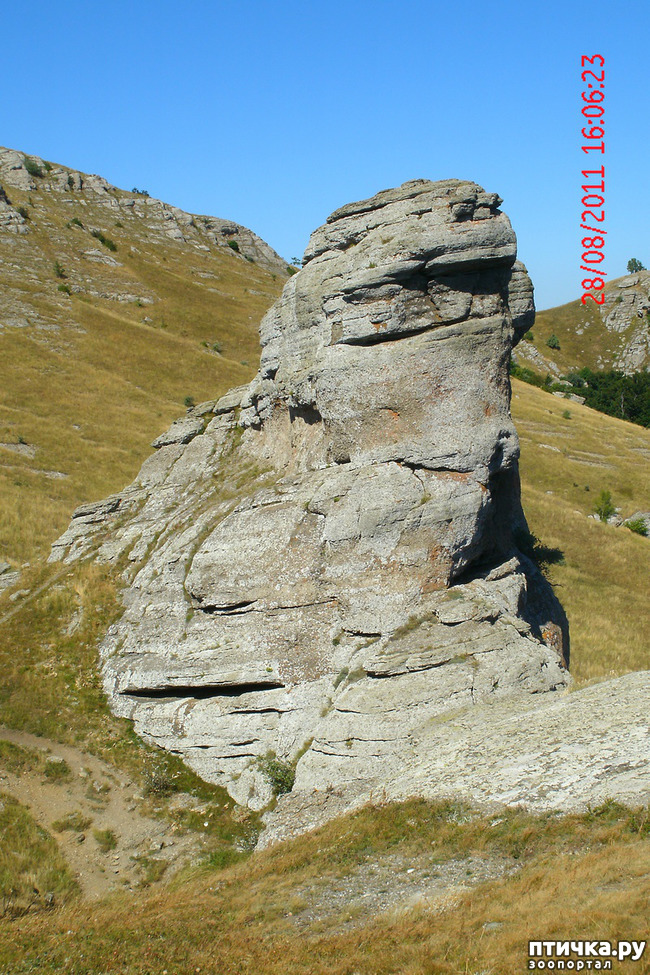 ���� 25: ��������