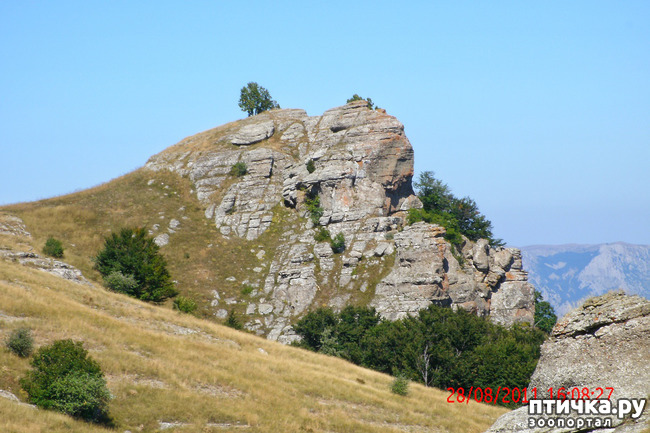 ���� 27: ��������