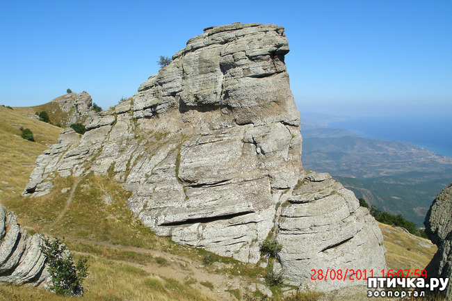 ���� 26: ��������