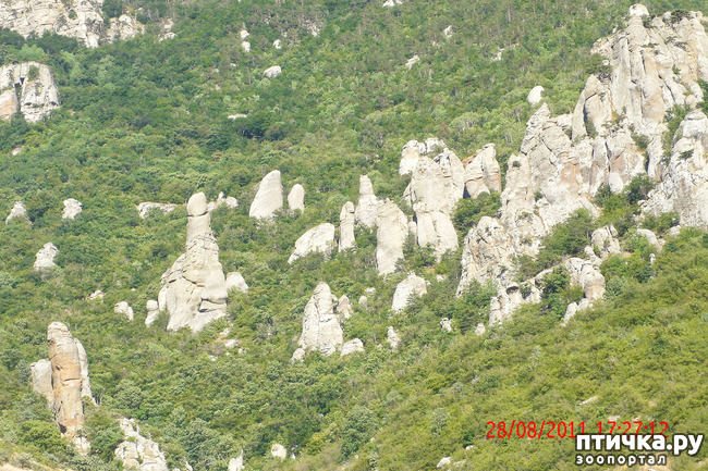 ���� 29: ��������