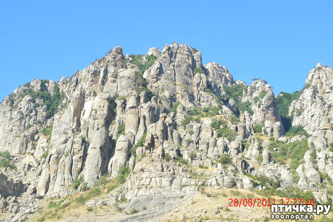 ���� 30: ��������