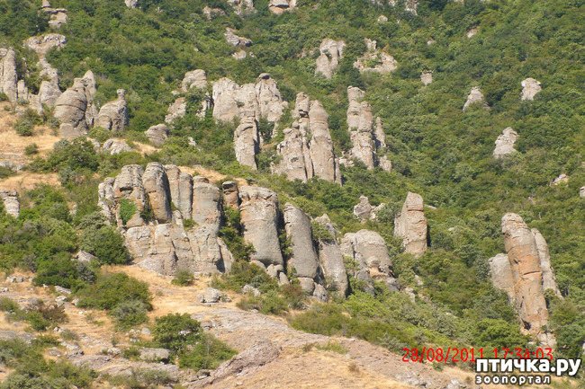 ���� 33: ��������