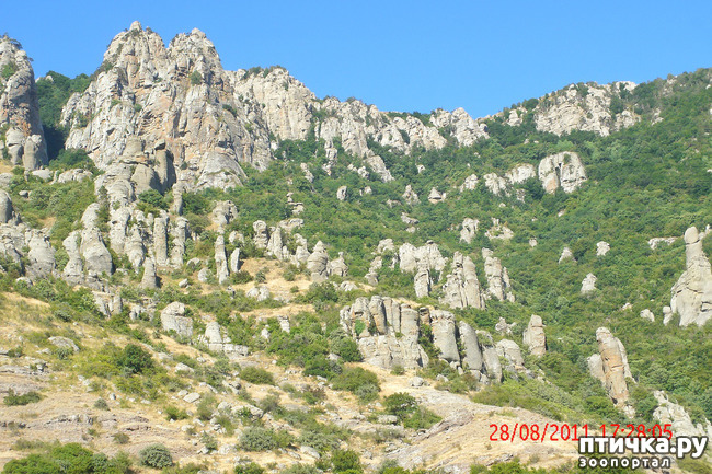 ���� 31: ��������