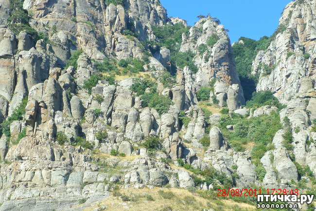 ���� 32: ��������