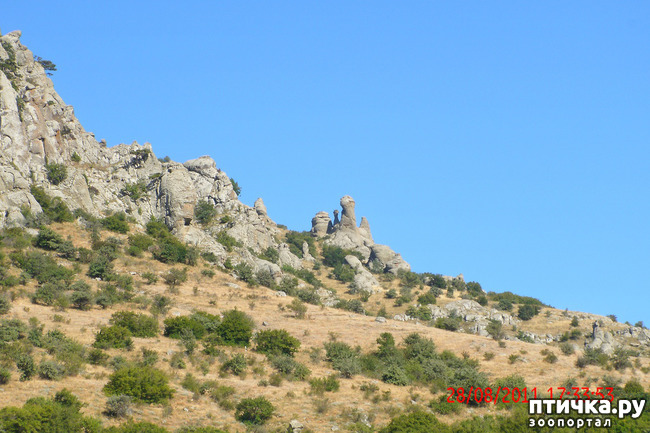 ���� 34: ��������