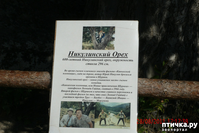 ���� 36: ��������